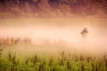 landscape-3358862_960_720.jpg